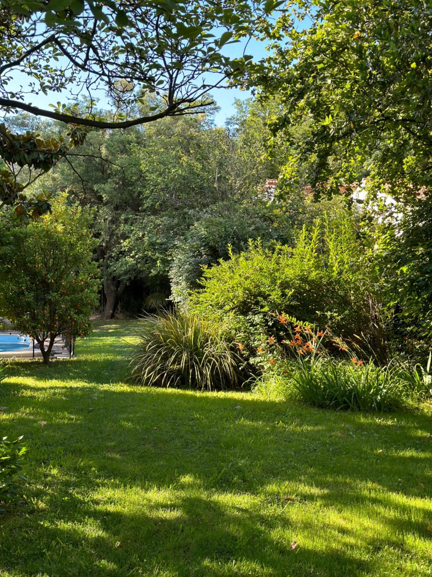 Bed and Breakfast L'Enthousiasme Prades  Esterno foto